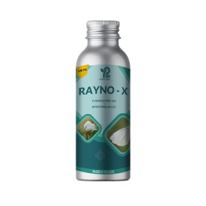 RAYNO-X (PYRIPROXYFEN 10% + BIFENTHRIN 10% EC)